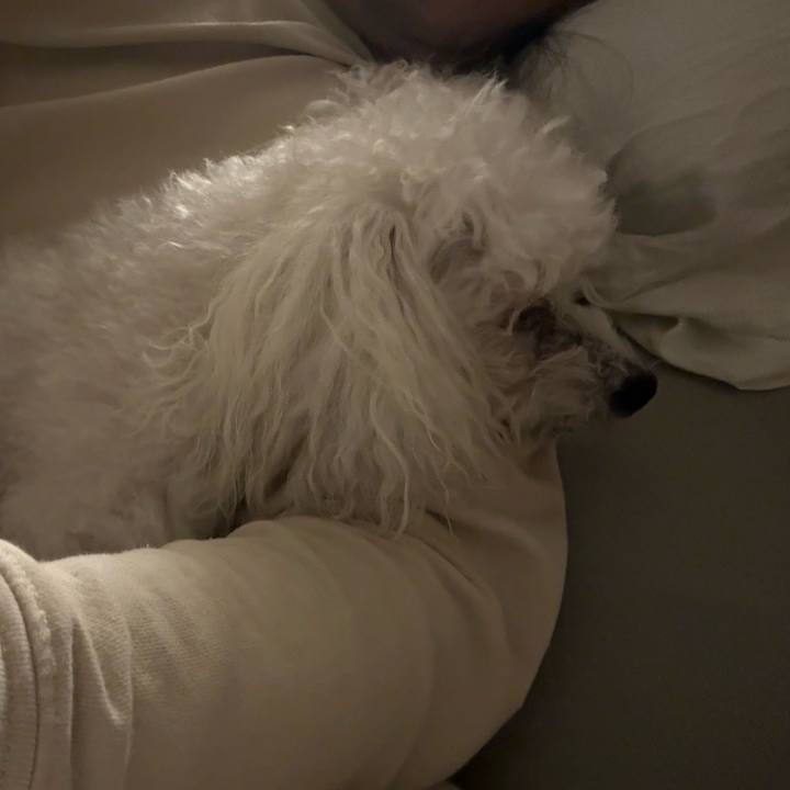 5e3d2e83 dcaf 4f41 9581 283c9bfab0c7 1771574750360