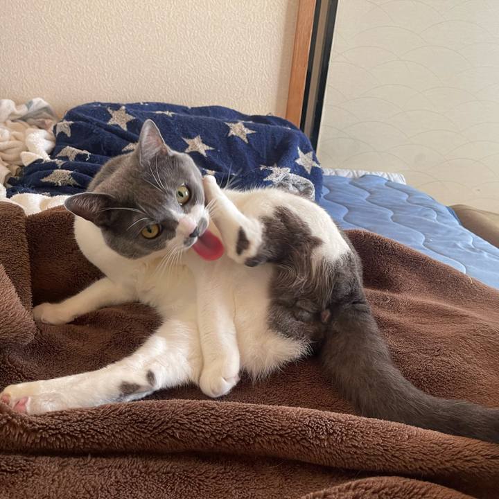 5e3d4e65 e7b8 43d1 80dc d72473b3c20e 1665444030145