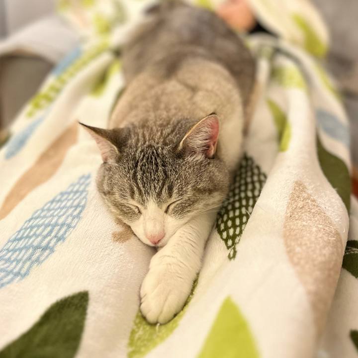 5e3d8ec7 a0b0 4efd 849f 920a46efbe77 1684115793889