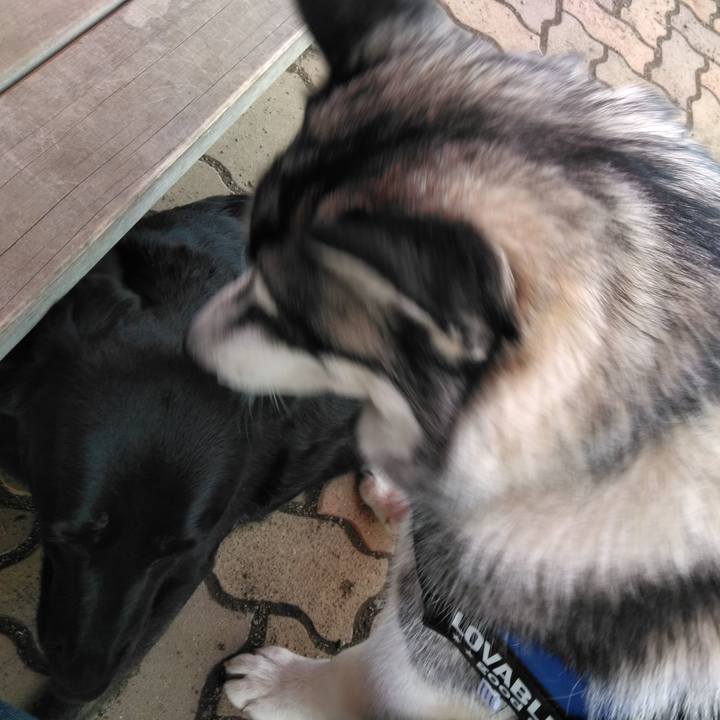 5e3da526 9283 4e0c aba4 5abee336376c 1552793322469