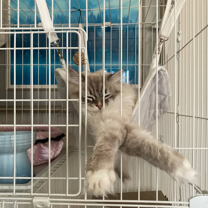 5e3da755 eb85 4ee2 bea7 91c24c82d14c 1706963359909