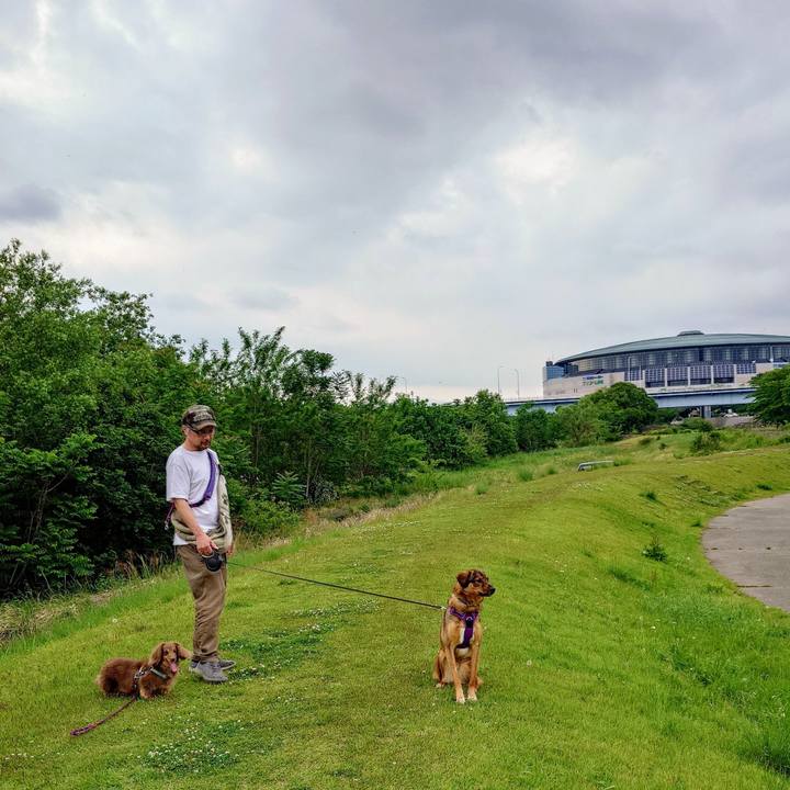 5e3db0f7 81c5 4b79 b628 eda4a3f996d3 1747565801061