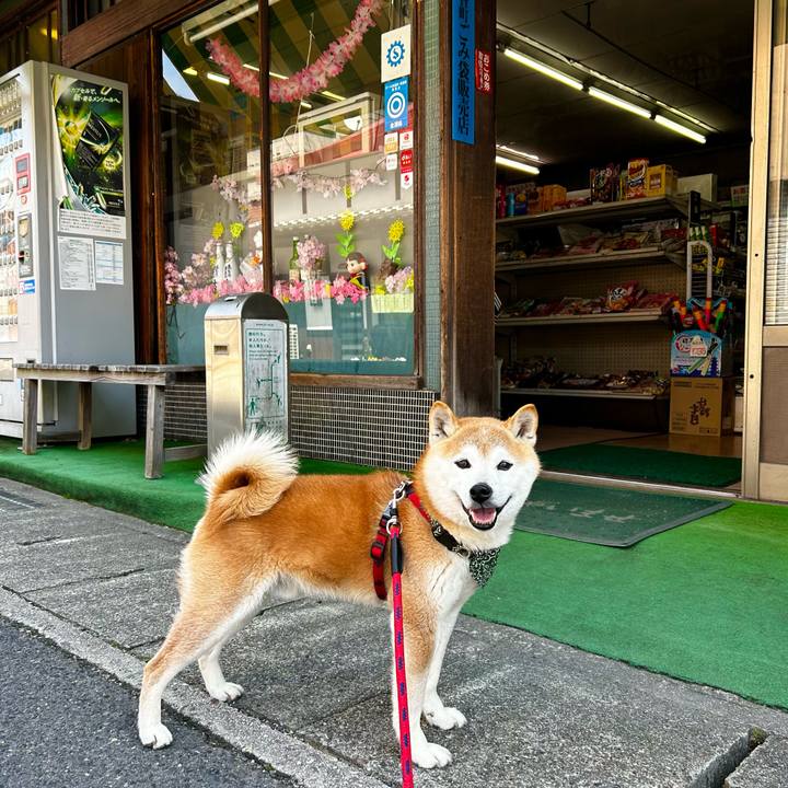 5e3e353e 217f 4f8e 939d 2a50b8e339b8 1715167250211