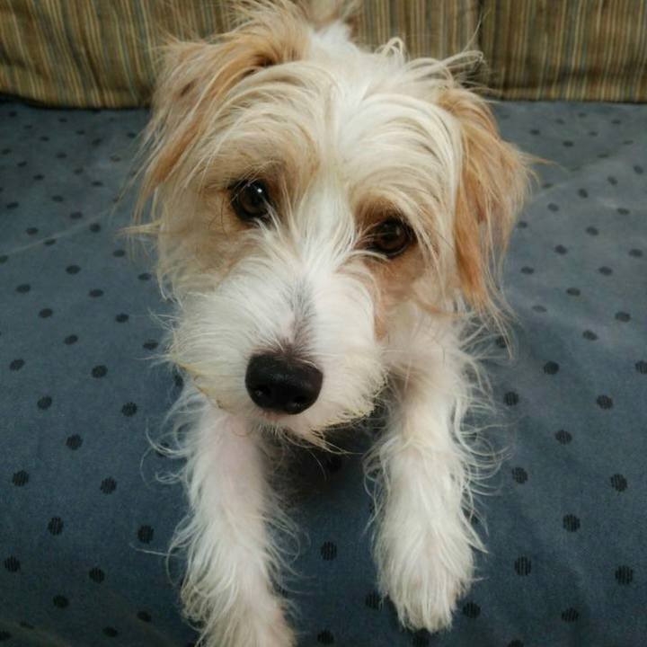 5e3e46d3 7ba8 40b3 a019 7951976e55f4 1691706994925