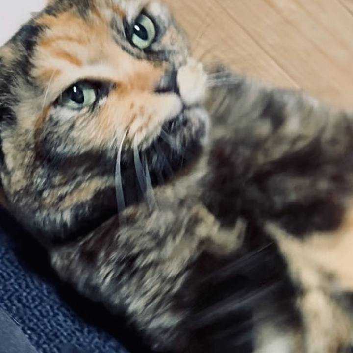 5e3e5d46 2fc5 49fa 8fff 0fbaf129cbdc 1771792936582