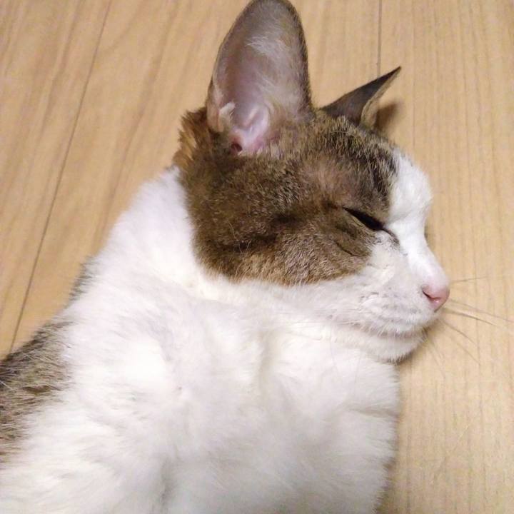 5e3e7193 730d 4355 8d30 e92d05003438 1538654343398