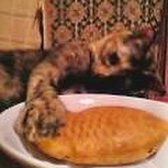 5e3e727f ddc4 4f6b aefc 56fc026375c1 1719668550333