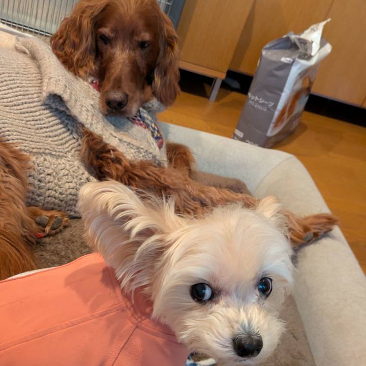 5e3eb087 11ef 43a0 9ce6 9f3c7aeea35b 1768643708140