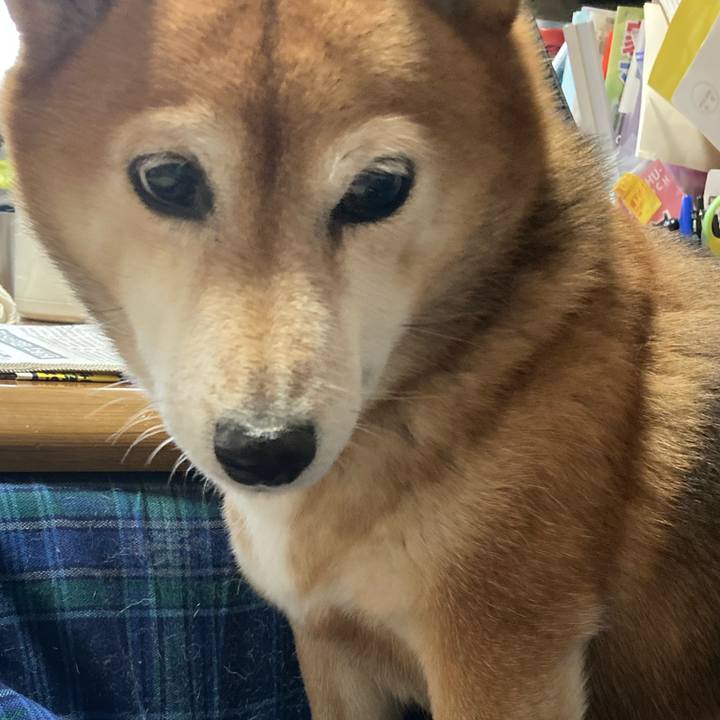 5e3ecd9b 7359 4967 99f6 5da6e37dfb2b 1635460949367