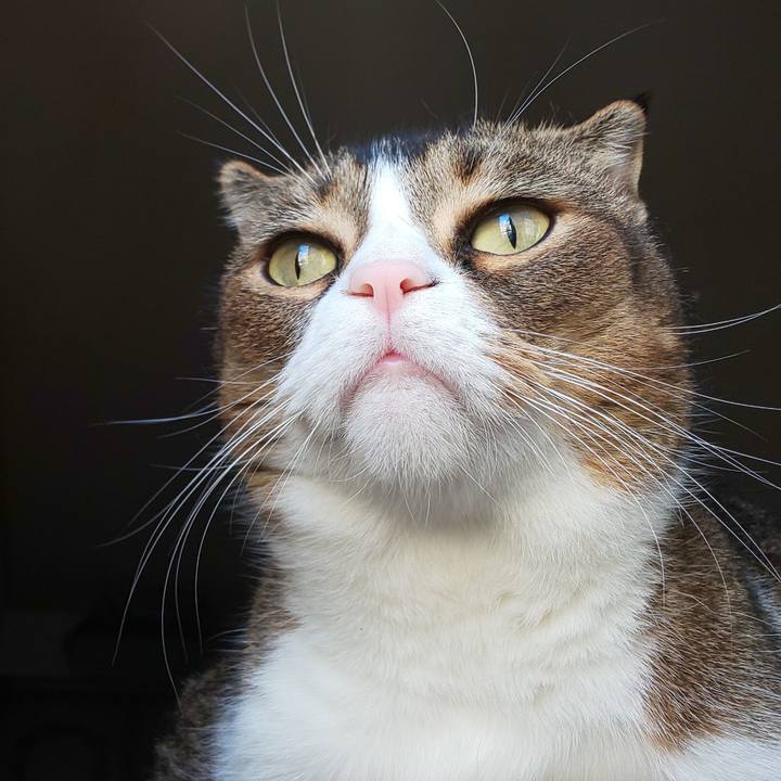 5e3ed4dd 7fcd 4311 92a7 a1bbf9239940 1600479202779