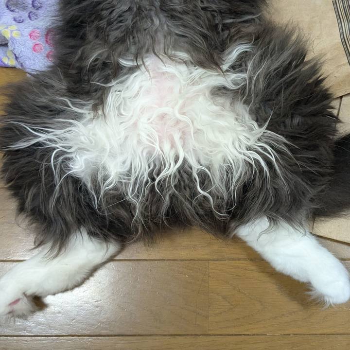 5e3f3dfb 7e8d 4eeb 9039 4cbaa664f218 1750162691455