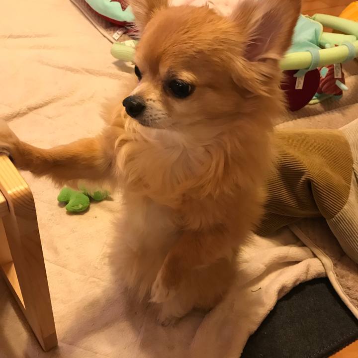 5e3f5fd4 7813 43cc 8e45 cb844aa546e3 1516149934830