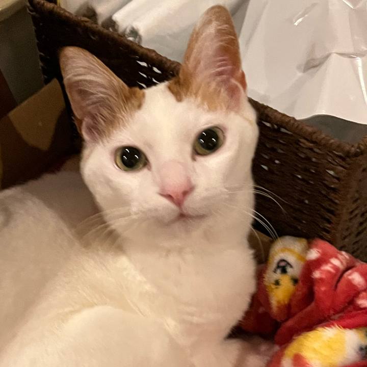 5e3f6e84 9be1 4e21 b24c e1fe4d27b7fb 1770213298660