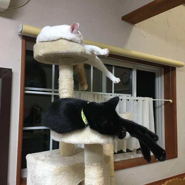 5e3f7597 ab6c 40d3 8c97 035089cecd7f 1528472207342