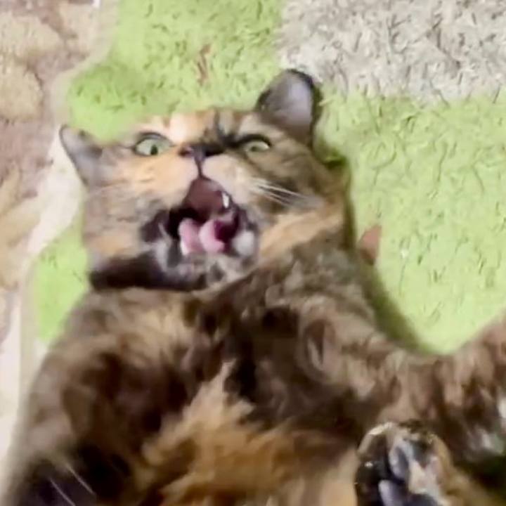 5e3f76e3 4b70 4847 9bdf 67f040909fd8 1768394167609