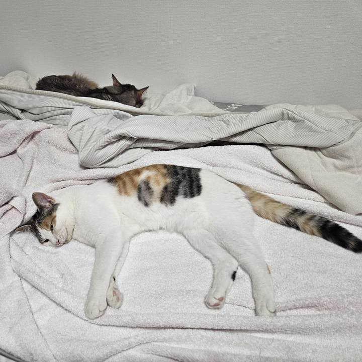 5e3f9fa5 db27 498c adbb 4c64a4583a08 1759372095678