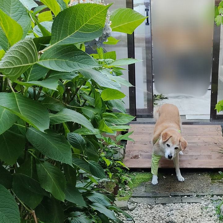 5e3fa2b4 5346 46cd af2b f0862fbc3aa9 1656579832638