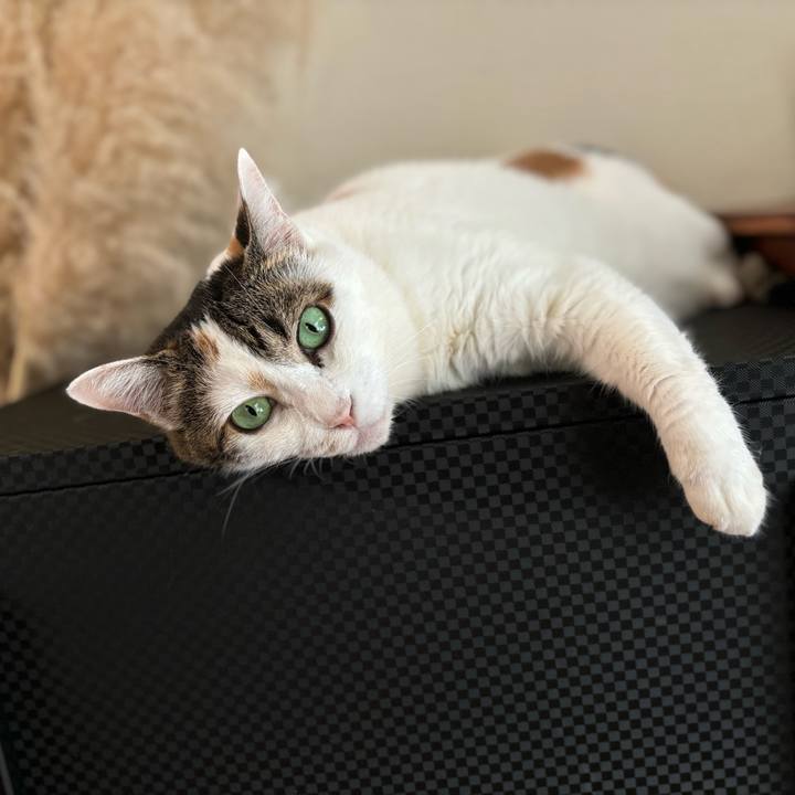 5e3fa608 2072 4d20 8e42 ee4386beda19 1757376152496