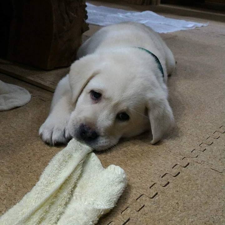 5e3fabfd 5079 48a1 a1d7 d69251700eb6 1619197608692