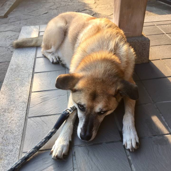 5e3fc35b 262d 49be 9b6c c6f64355e050 1531867110987