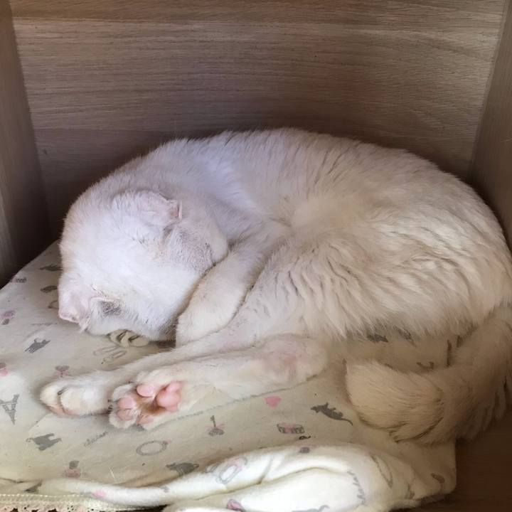 5e3fcb08 97c5 46a4 ad53 68ca2a78b702 1570927116498