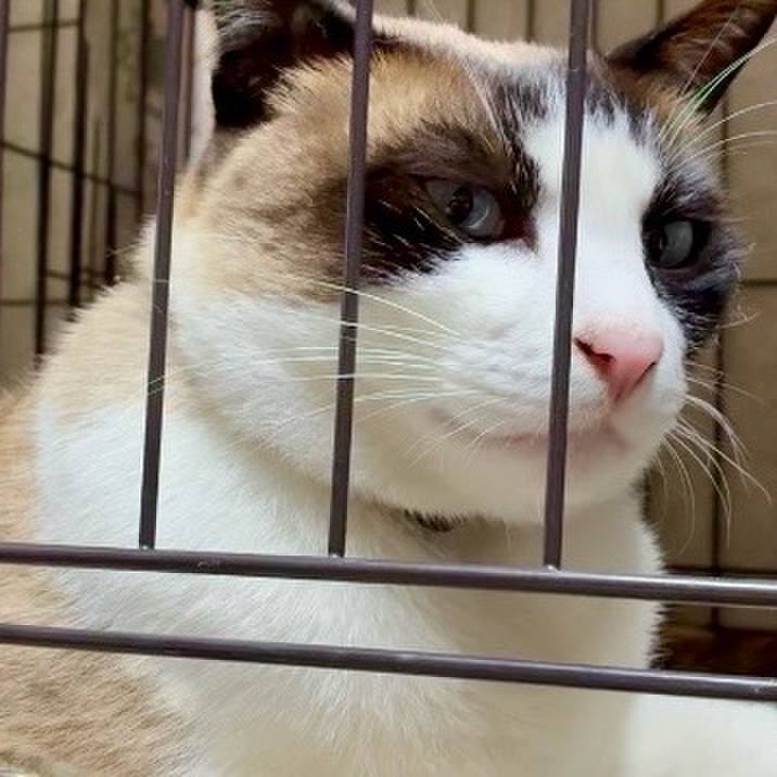 5e3fd568 d689 4d2e a795 8217ebe3d7d0 1749470940127