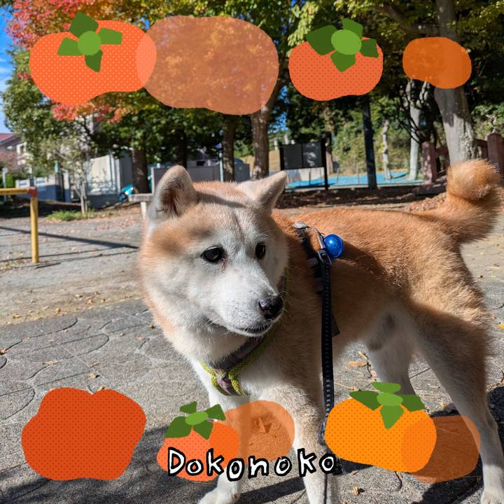 5e3fe43d 0d24 4723 b2a4 a1dba424efdb 1762930509723