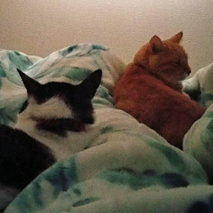 5e3febe6 8cdc 43df 8d2e 48d695e9fdc2 1569026000970