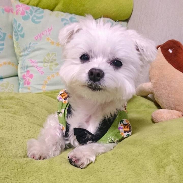 5e403c25 1e47 4a04 8a3d 6b19b85cf836 1508313902864