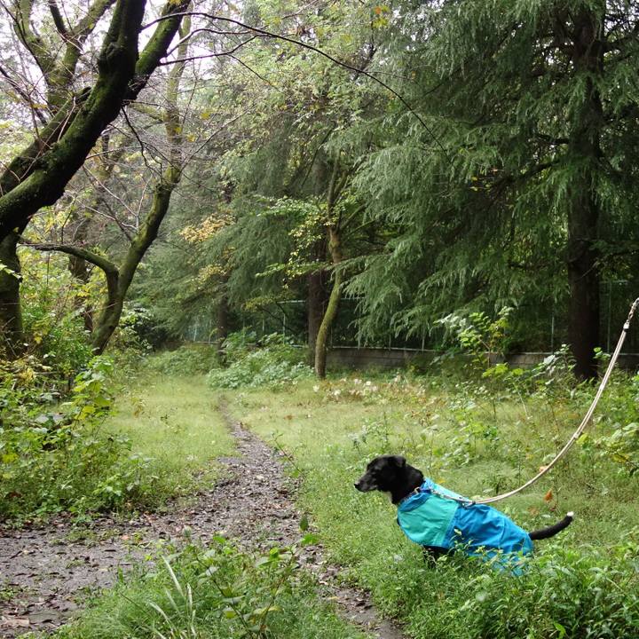 5e4065b3 c92d 41f3 9e24 574b29a49609 1730071277614