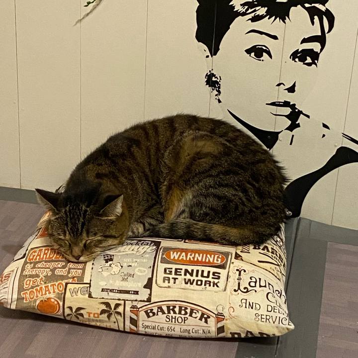 5e407310 1808 490c 9c31 62bbc5a16e3a 1669214902157