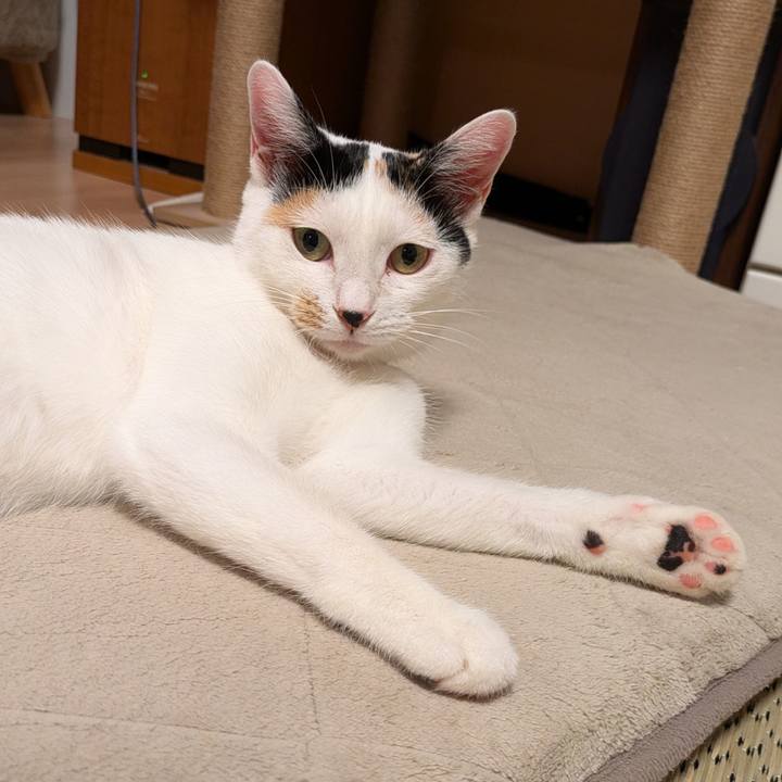 5e408222 4fe2 4f68 acc4 4220c659b068 1723644748432