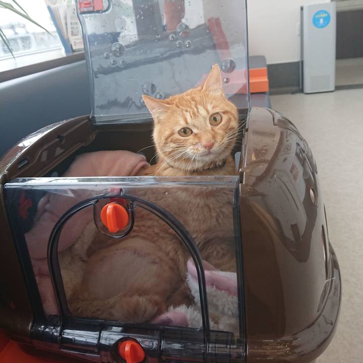 5e409e10 7960 4316 a3b3 2027ef4216f8 1654478587721