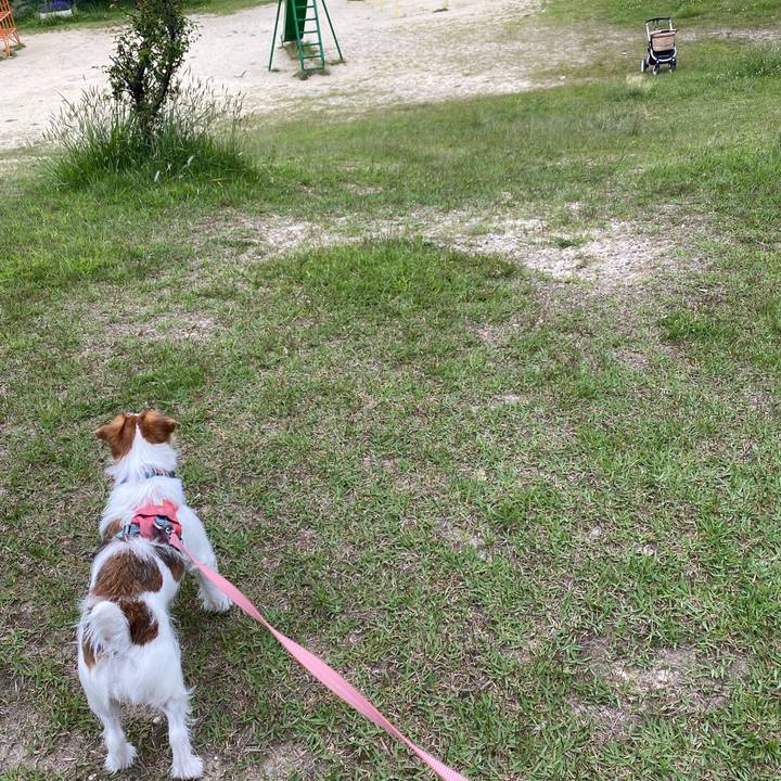 5e40a6bd 9cc3 4a8f 9fa0 893d3aab9340 1716071764321