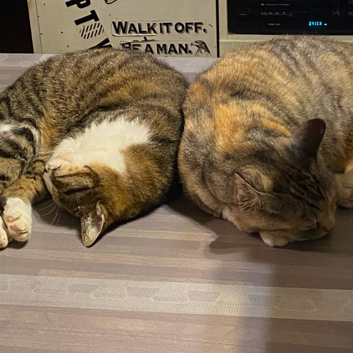 5e40c1e5 89a0 4829 a8ab 06c7ecef5a7d 1625293478794