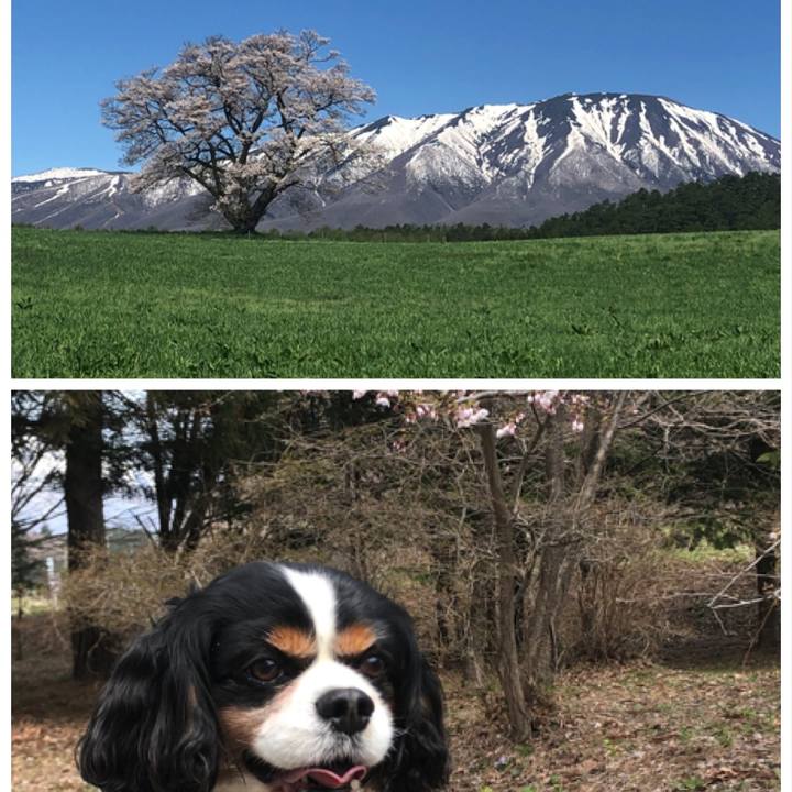 5e411358 0a89 4cdd 939f 6ba8a31fb875 1588648637259