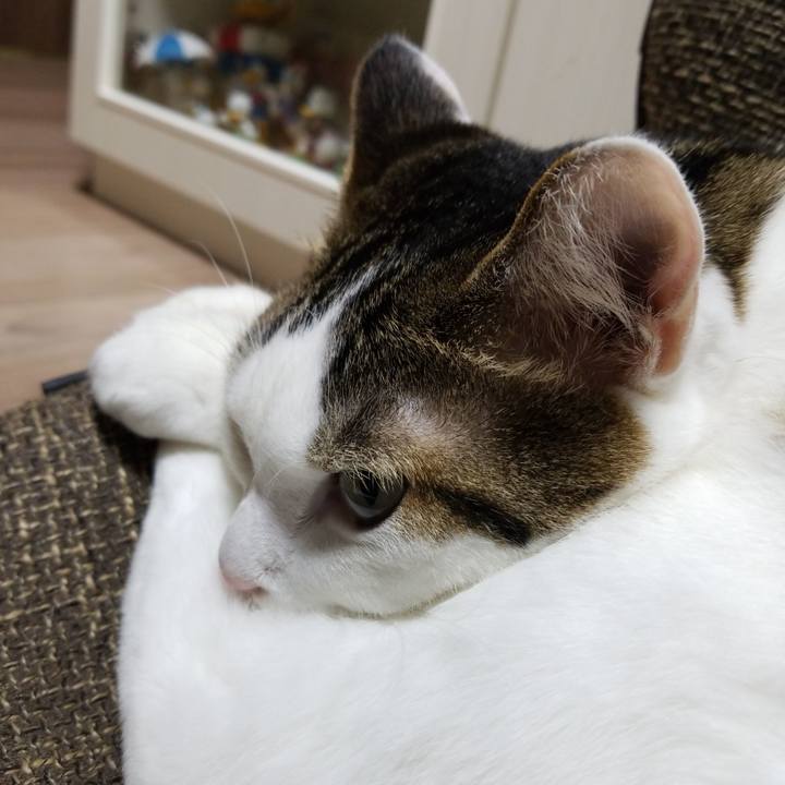 5e4115db 3ef8 4084 84b4 cee4137af233 1570105104101