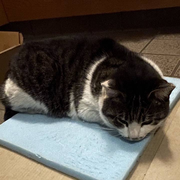 5e415056 d64b 40d9 9b12 4ed584364ef5 1609243515408