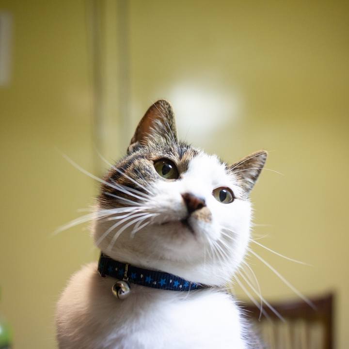 5e416b16 5cd8 4887 9270 14dba97671cc 1576082491122