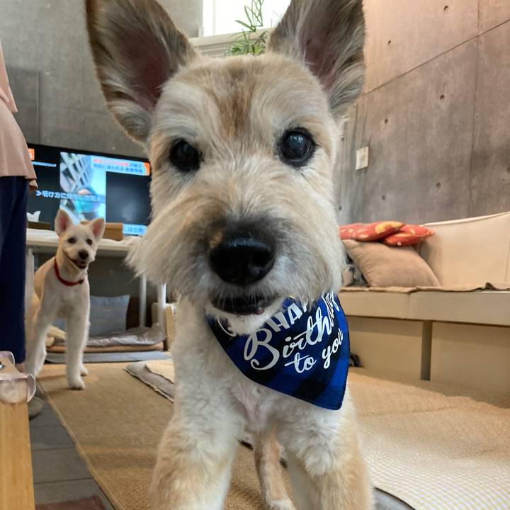 5e416b1e 516b 44d2 954a 5fa448d814ed 1774478837079