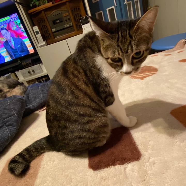 5e417bb1 07d3 49ab b561 88fcfb2d89af 1578534050842