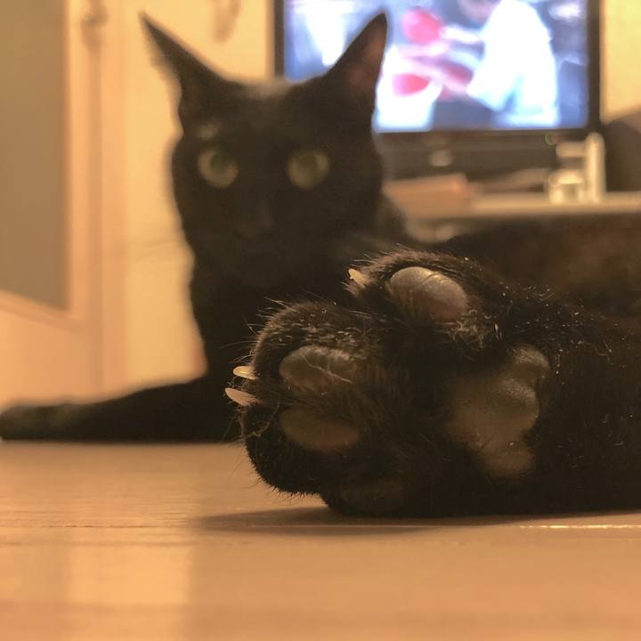 5e419ac0 a857 41d4 8ab1 6a0ab8f1c23d 1517232168820