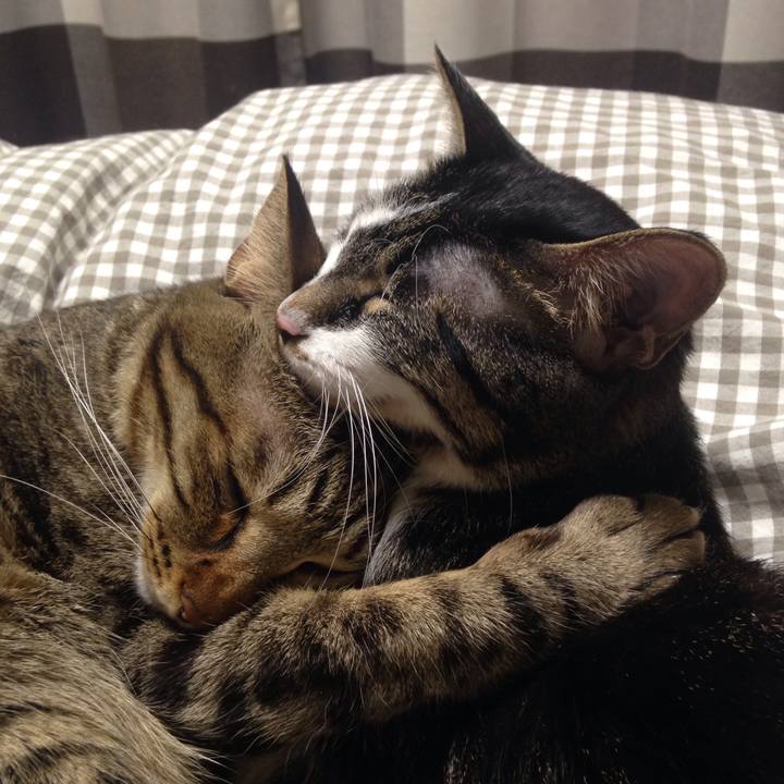 5e41a911 e06c 49ed b2f6 236f9cb7e2b8 1509984594092