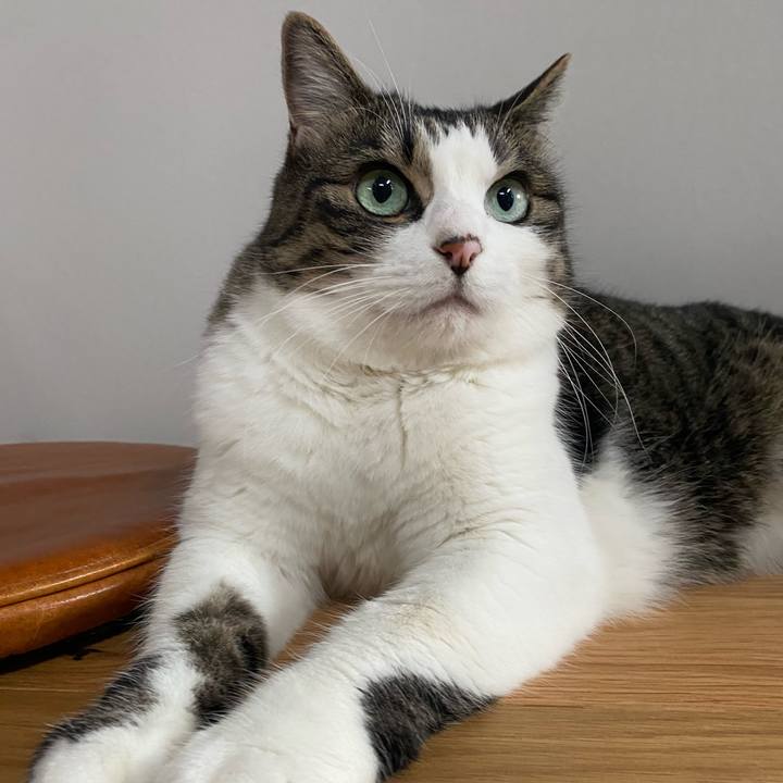 5e41c399 a4fd 4c41 a505 0572a97c76da 1725108379026