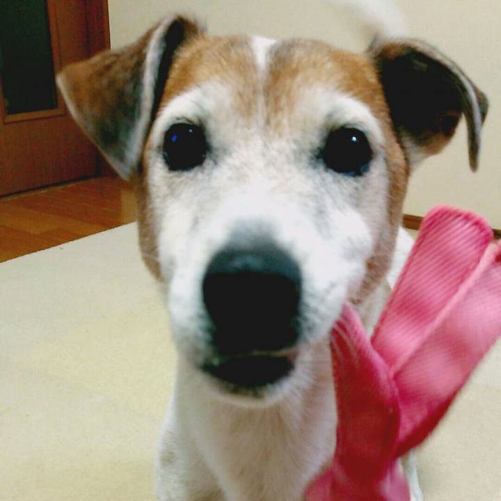 5e41c645 b748 4e4f 8437 26de958d3532 1517585448325