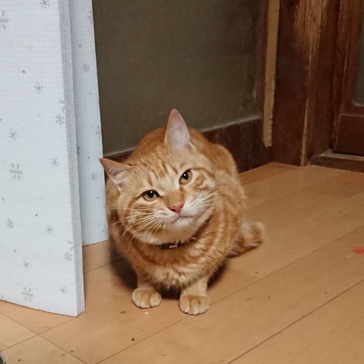 5e41d801 548e 4d4b aa0b 1bc1e5df0ed6 1647119048920