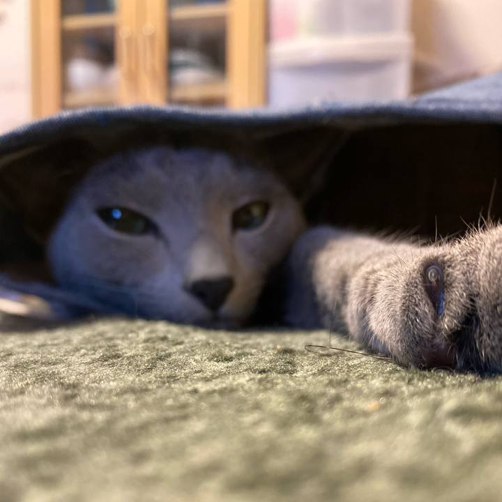 5e41e991 2a93 49ef 80e5 3d9f9970095f 1625206556937