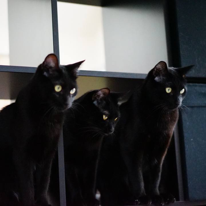 5e41f368 d8cb 4cae aabb 6b5d99ae5eeb 1554514464636