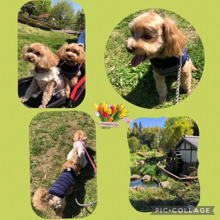 5e421d32 0752 4e70 b596 15c07aa2c9d0 1618043254835