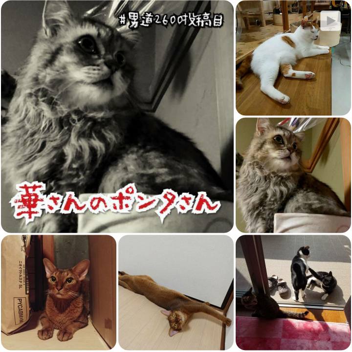 5e4230ff 78d8 4c55 a478 127a0595b64a 1568193324621